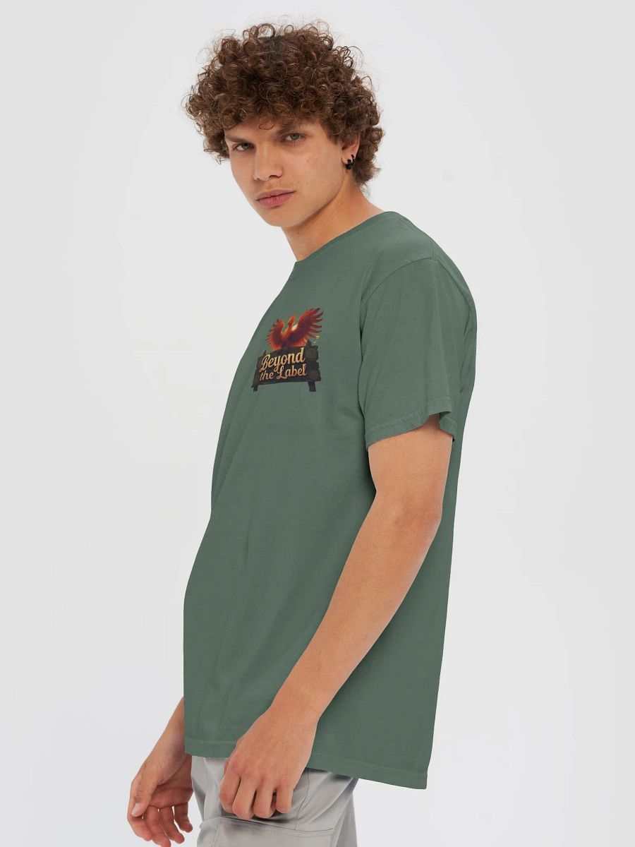 Phoenix Embrace Comfort Tee product image (59)