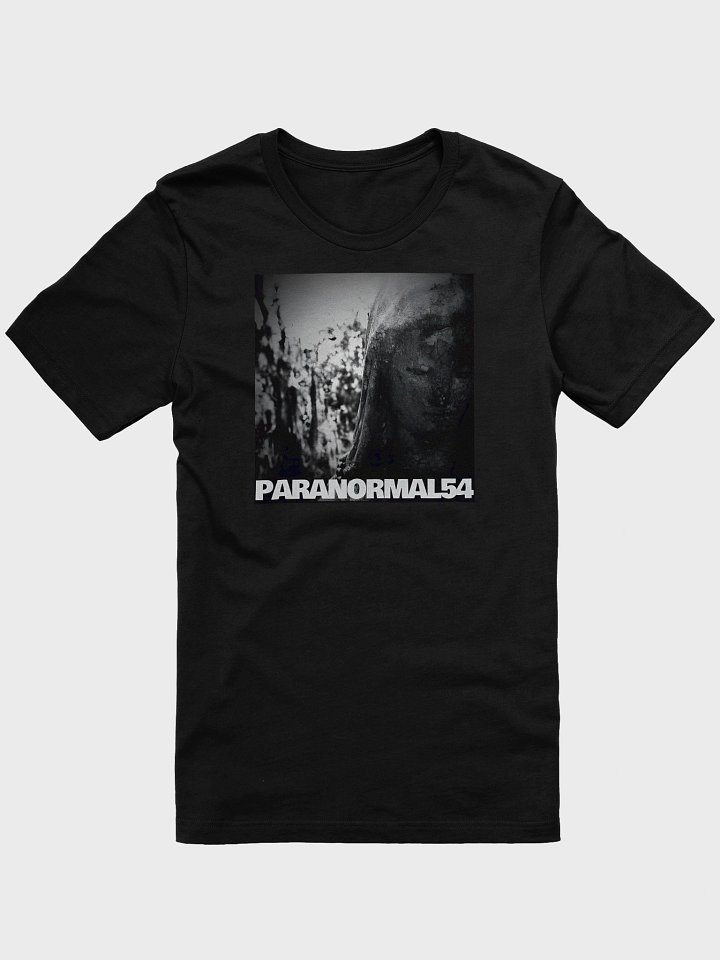 Haunted Mother Mary Statue T-Shirt product image (1)