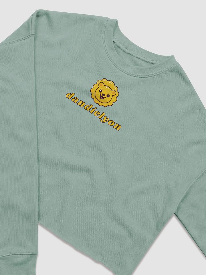 dandielyon cropped sweatshirt product image (7)