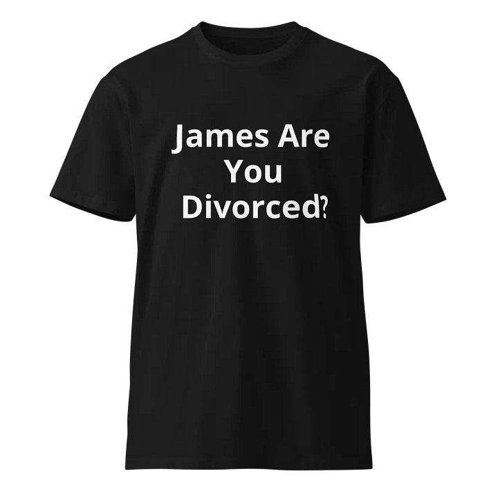 Pris-James Are You Divorced? STOP MUTING ME!!- AS Colour Unisex Premium T-Shirt product image (1)