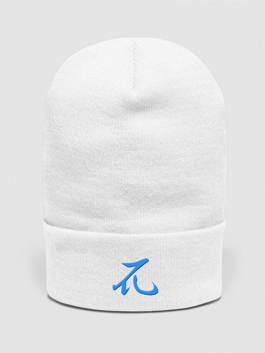 Draco Logo Embroidered Beanie product image (1)