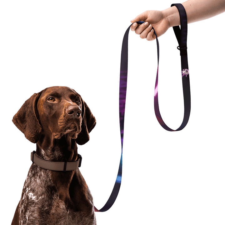Doggo Control Addon product image (2)