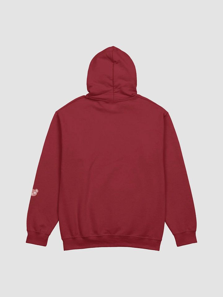 TeddyChan Logo Hoodie product image (2)