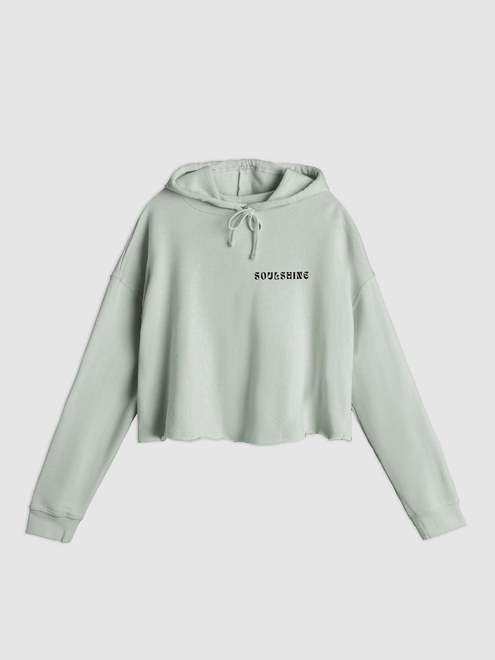 Soulshine Cropped Hoodie product image (1)