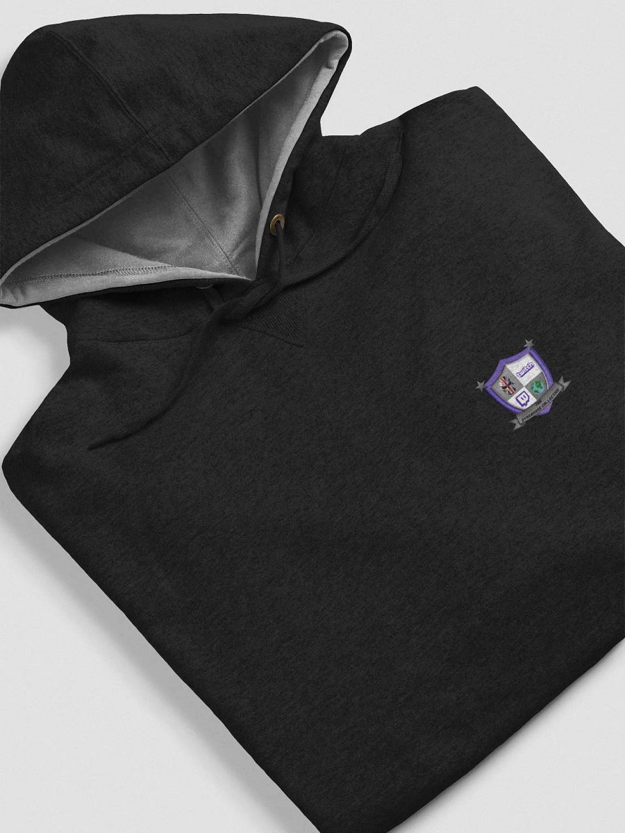 The Streaming Collective - Champion Cotton Max Hoodie product image (6)