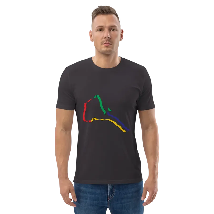Chromatic Lines Organic Cotton T-Shirt product image (136)