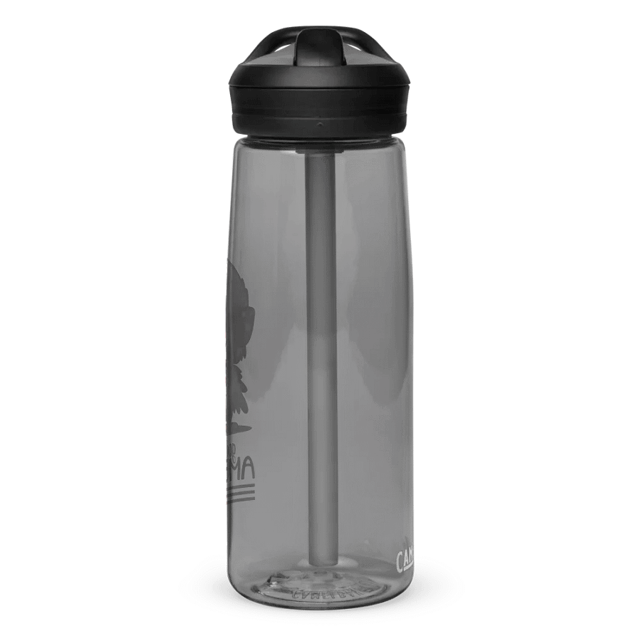 EcoStride CamelBak Eddy®+ Sports Water Bottle product image (2)