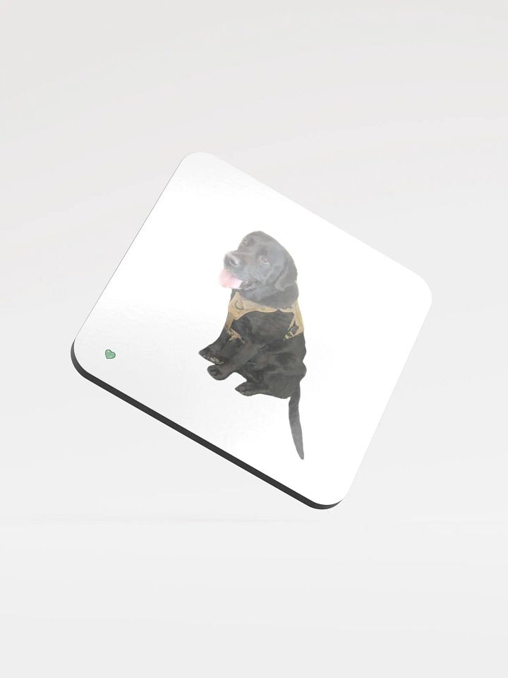 Shadow Coaster product image (1)