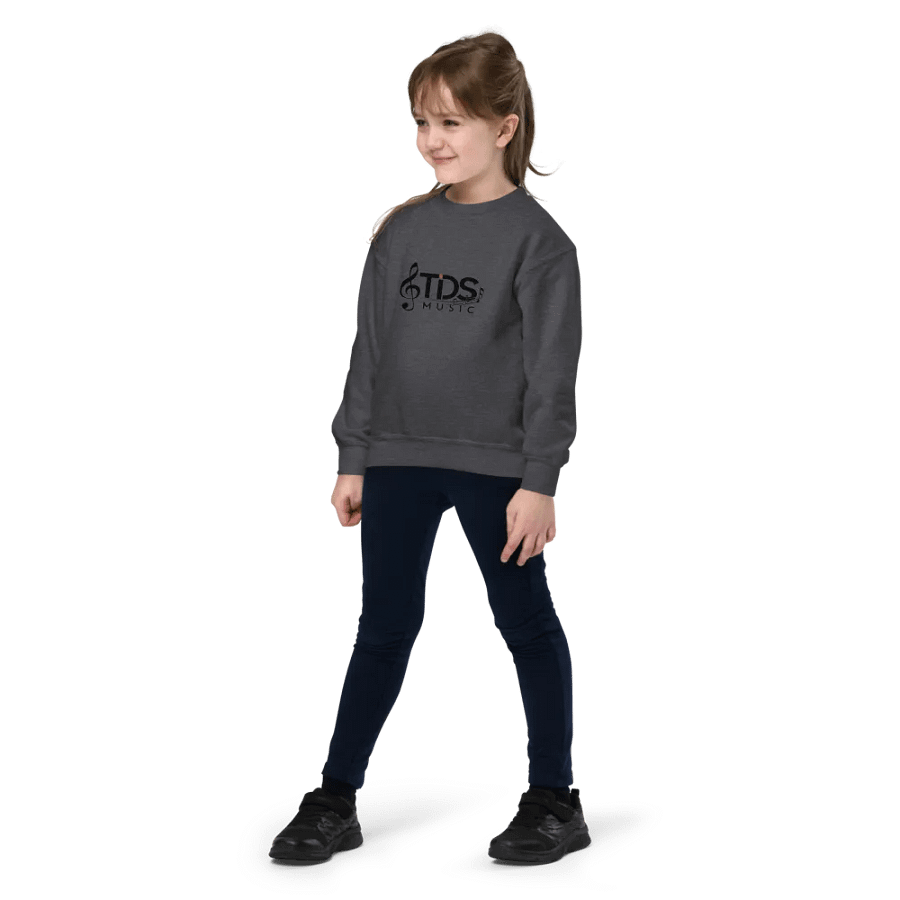 TDS Music Youth Crew Neck Sweatshirt in Blue, White, Black, Red, Gray (XS-XL) product image (6)