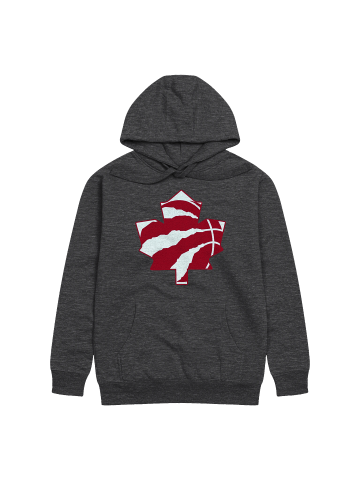 Toronto Dinos Hoodie product image (1)