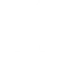 Valdevia Store