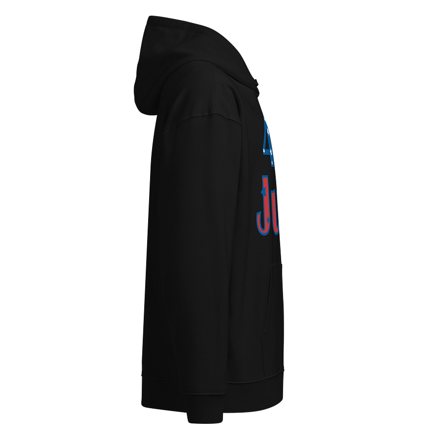 Star-Spangled 4th of July Organic Hoodie product image (8)