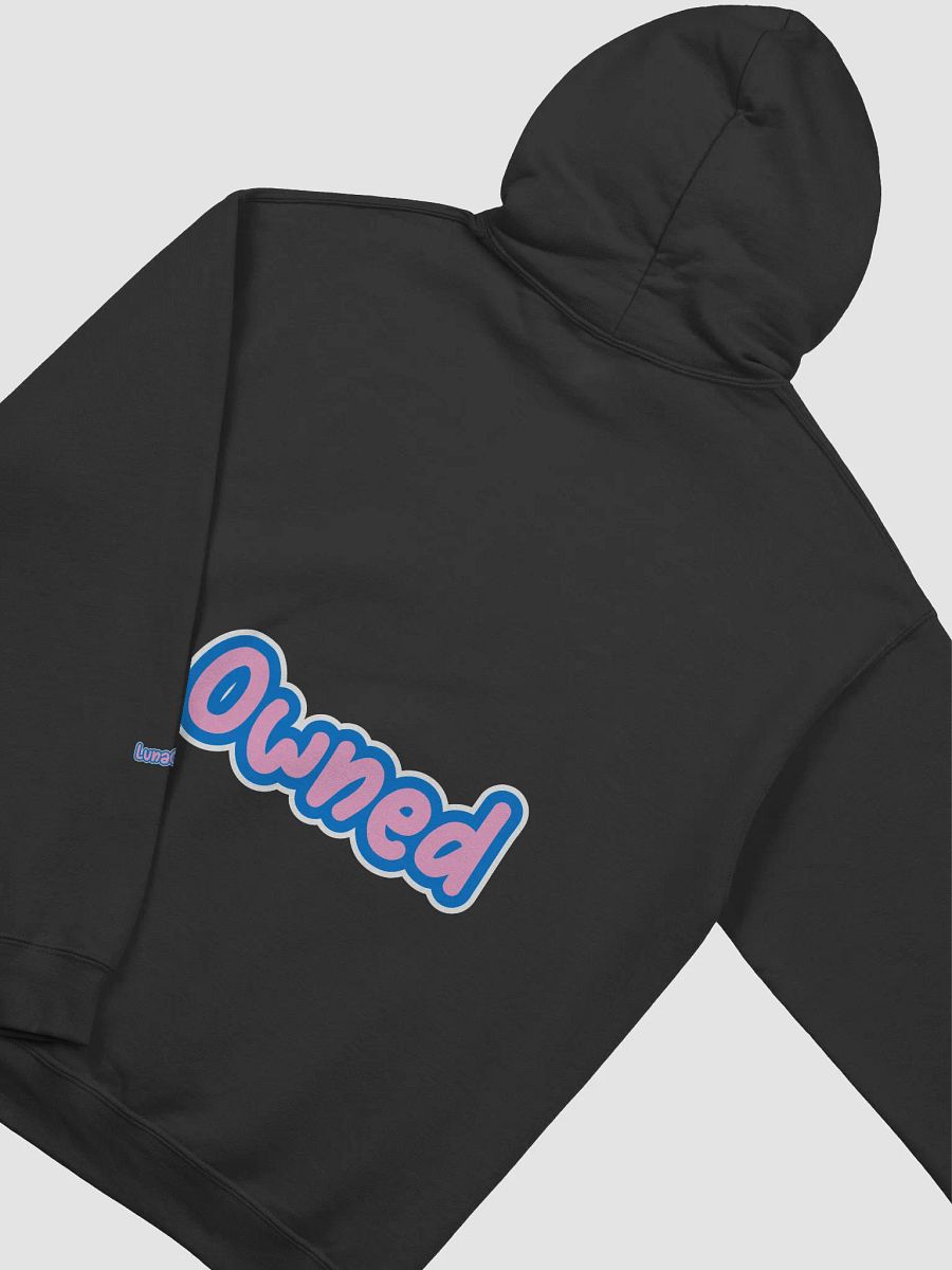 Luna's Paypig Hoodie product image (3)