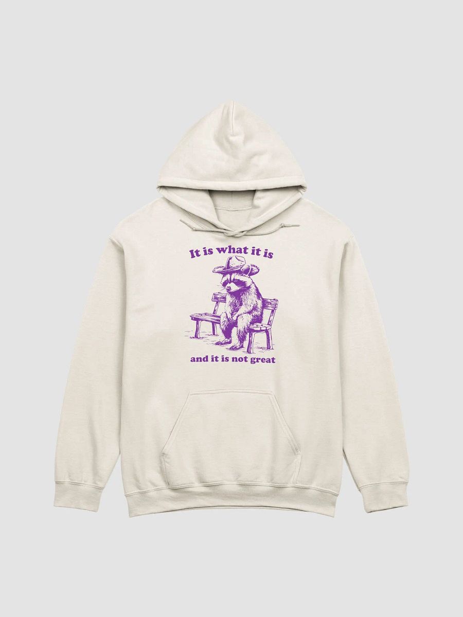 It is what it is Hoodie product image (1)