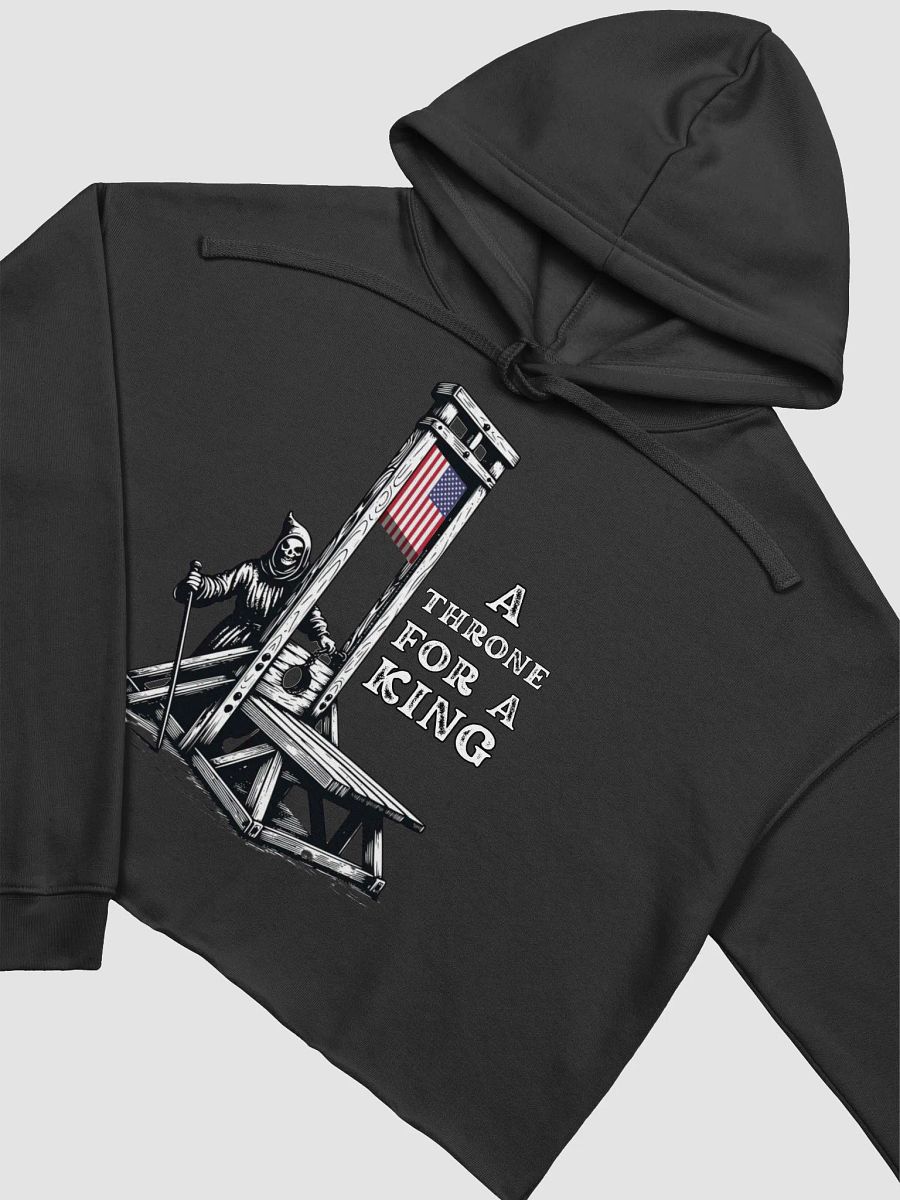 LIMITED - JUNE 2025 - FLAG DAY - NO KINGS - Crop Top Hoodie product image (3)
