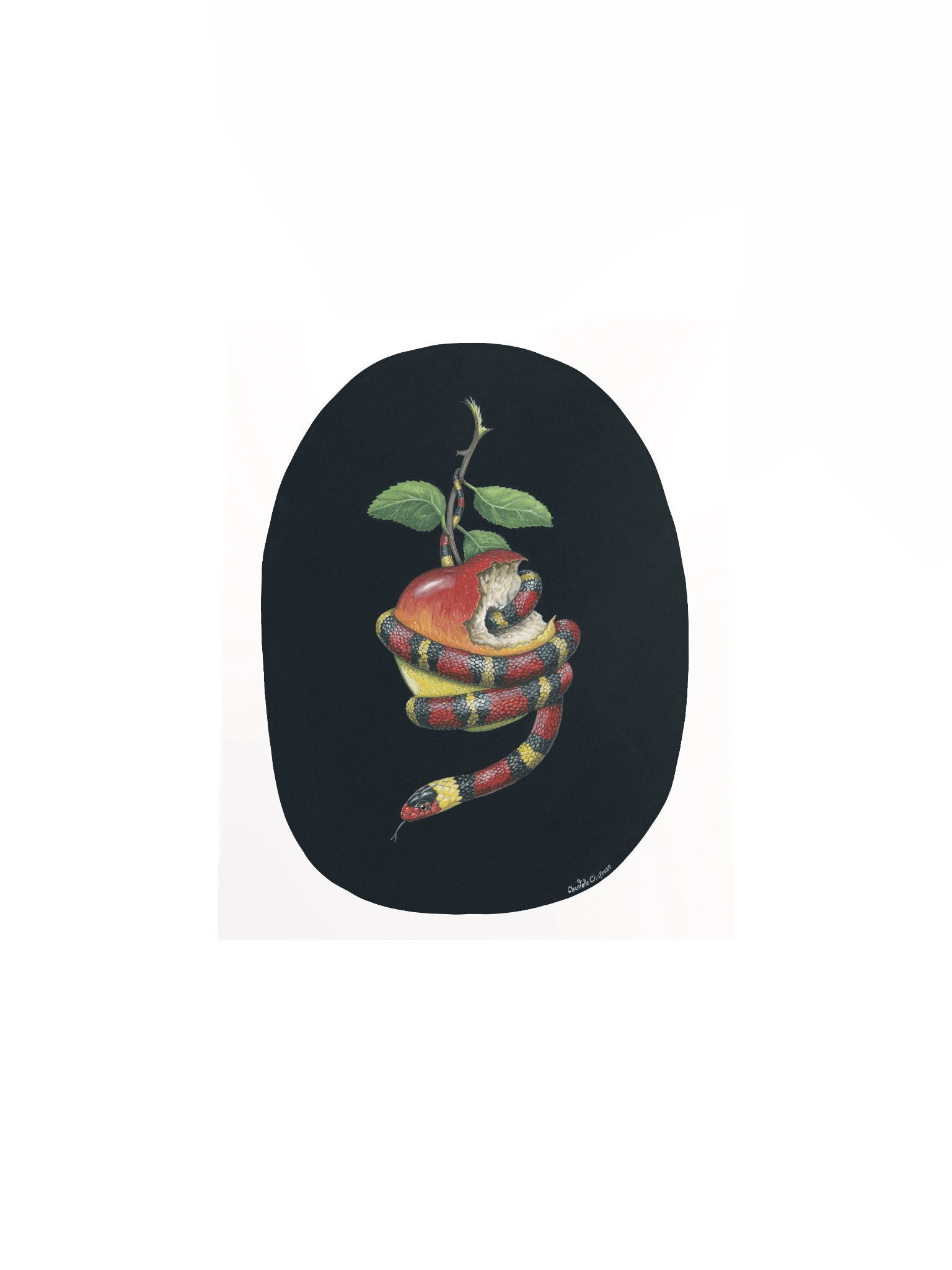 They'll Tell You It's Dangerous (Scarlet Kingsnake) - Art Print product image (5)