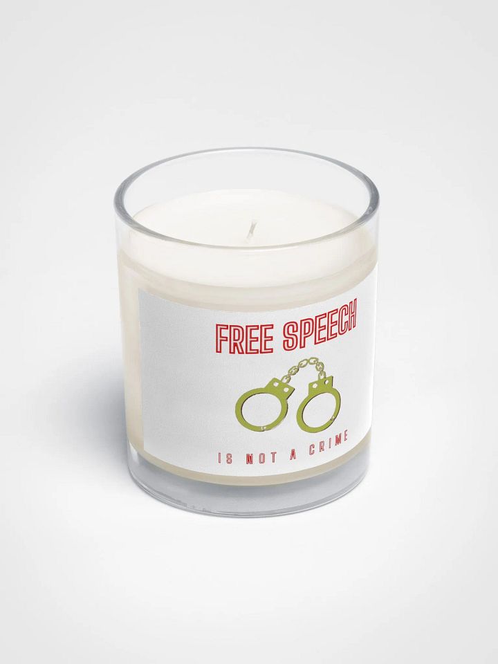 FREE SPEECH IS NOT A CRIME product image (2)