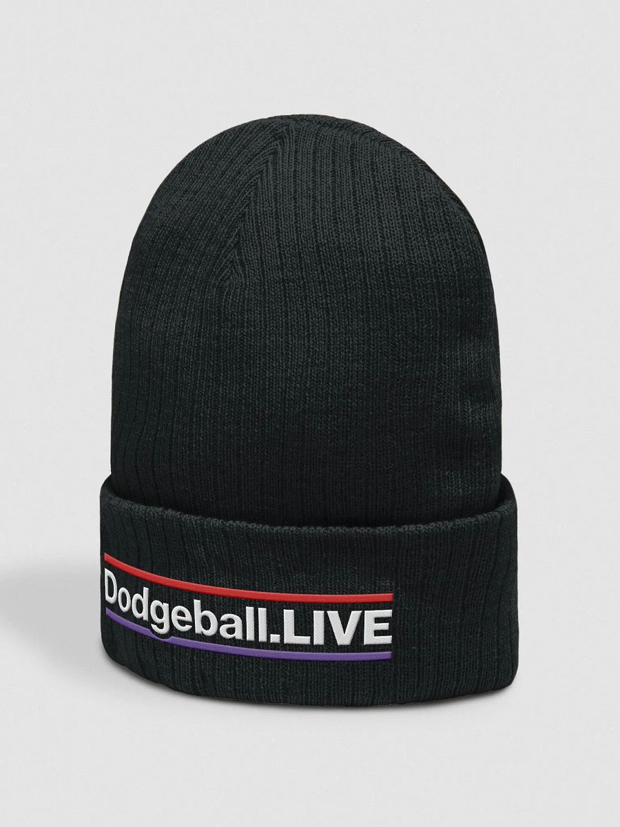 Dodgeball.LIVE HZ Knitted Toque (Light) product image (2)