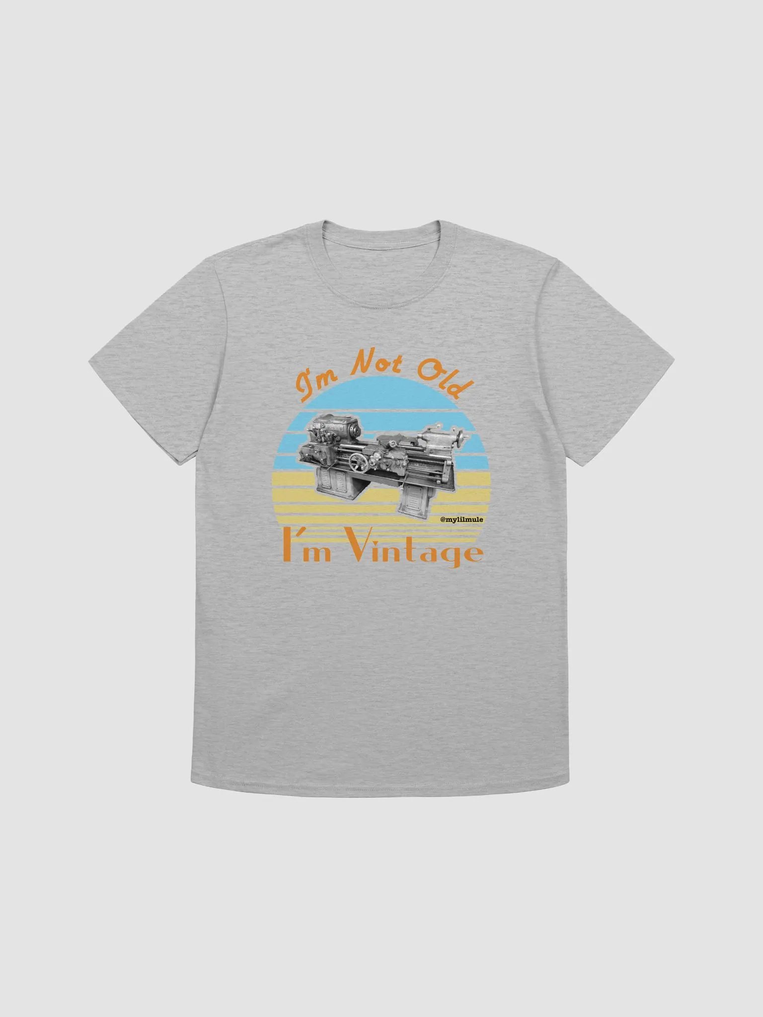 Softstyle T-Shirt (12CK) product image (1)