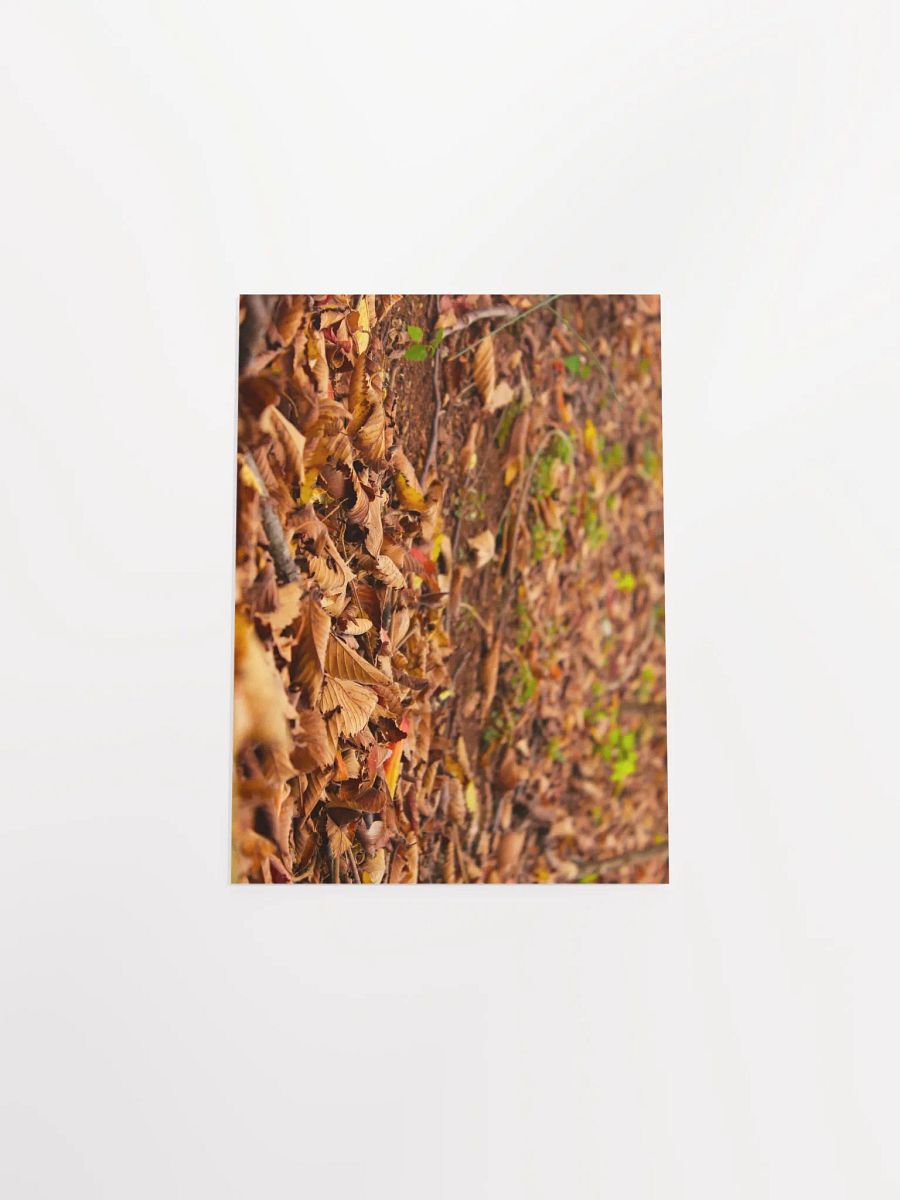 A Bed for Zagreus Dionysus product image (37)