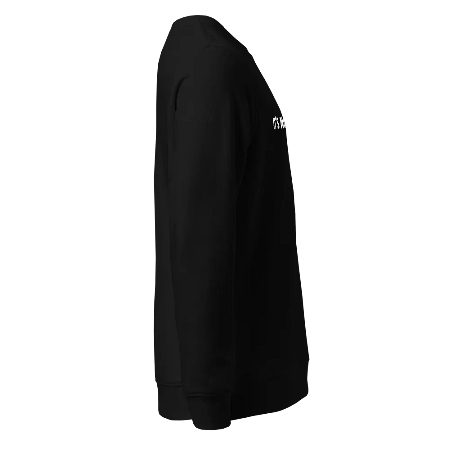 It's Not a Race Sweatshirt product image (9)