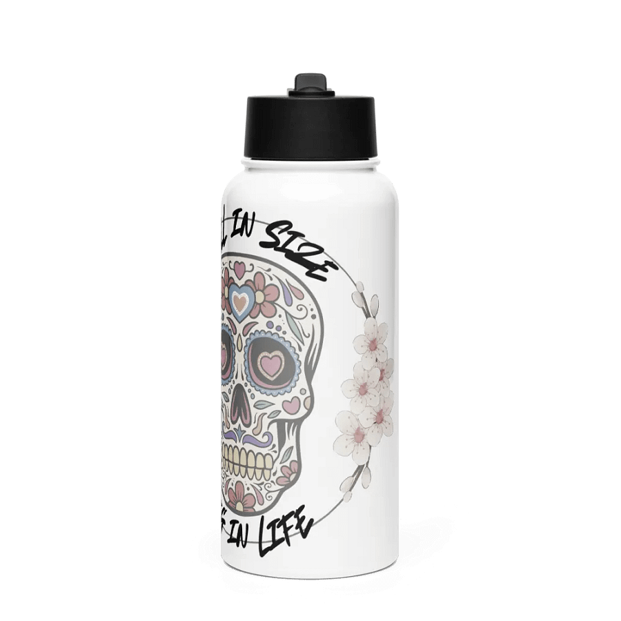 Stainless Steel Water Bottle with a Straw Lid product image (1)