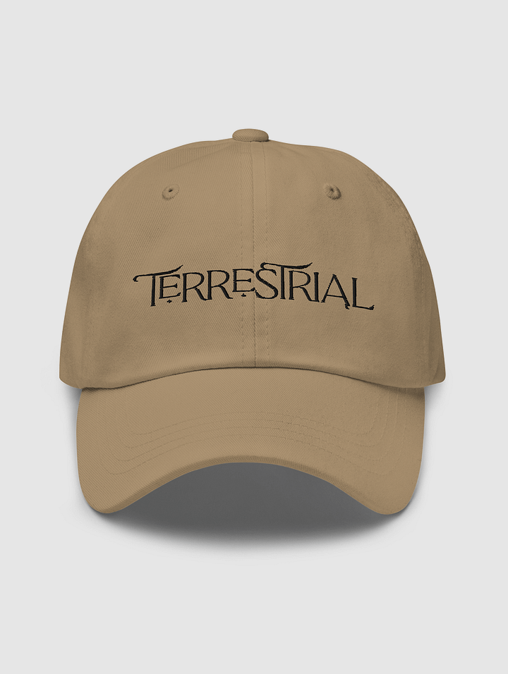 Terrestrial Logo Hat product image (1)