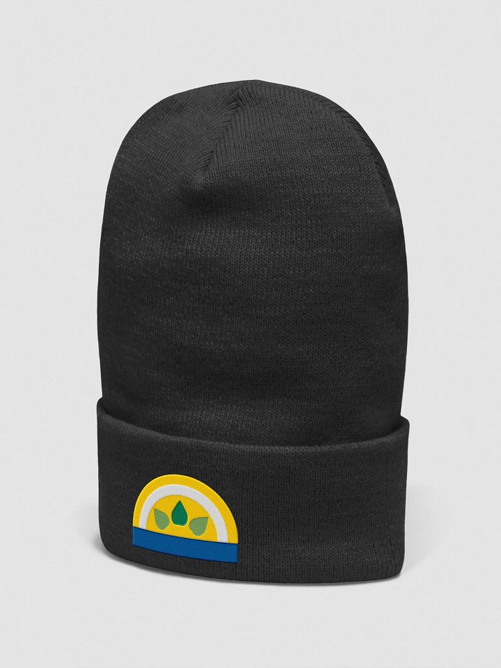 Sun winter cap product image (2)