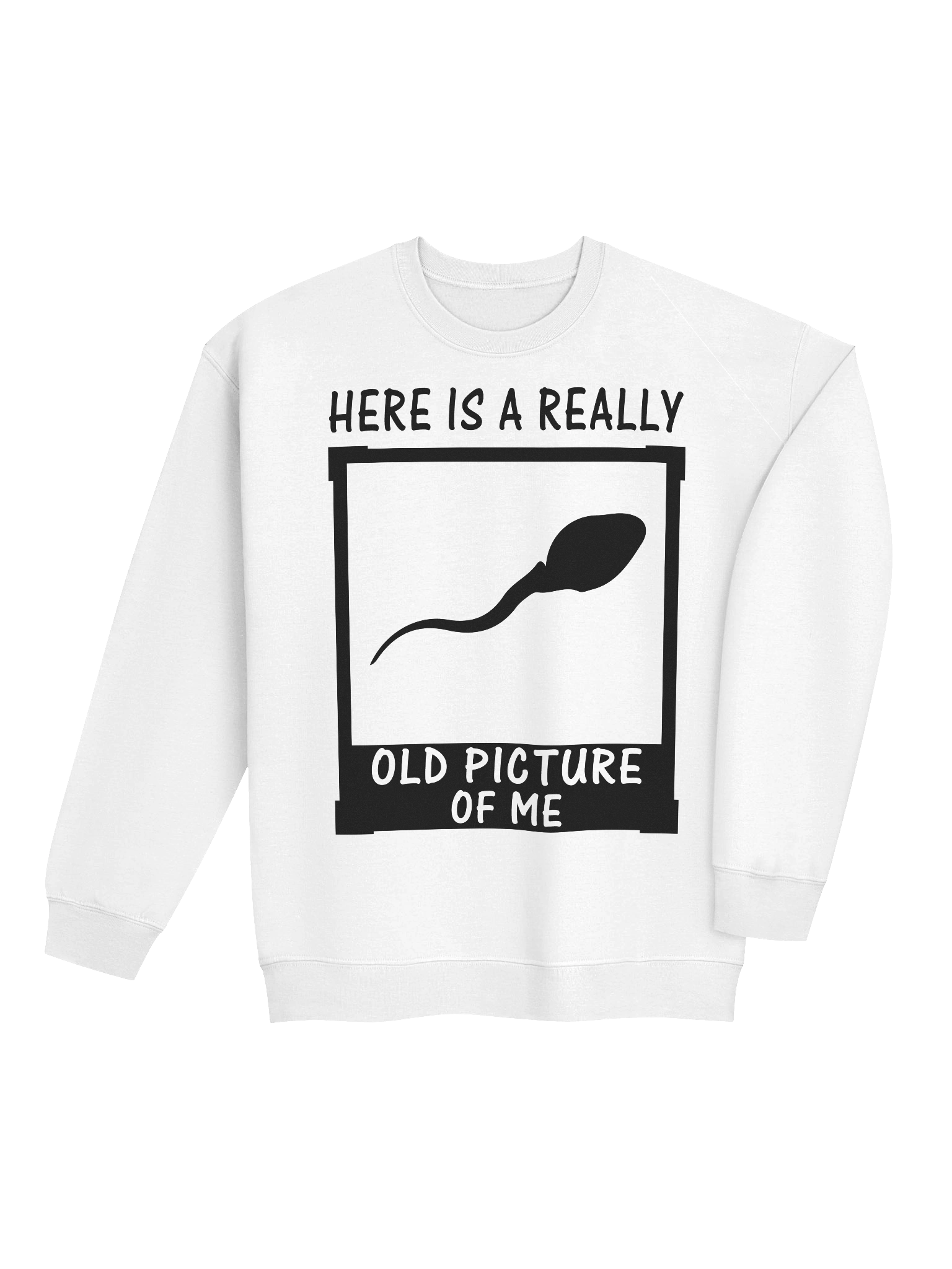 Here Is A Really Old Picture Of Me Sweatshirt product image (4)