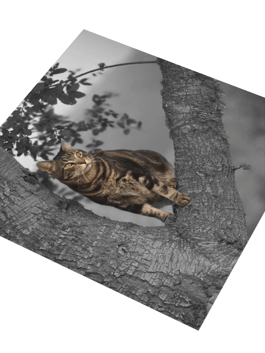 Whiskered Wanderlust Stickers product image (7)