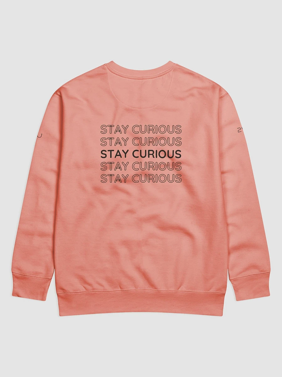 Goggles the Wise Monkey | Premium Sweat Shirt | Pocket Companion | Remember to Always Stay Curious | Empowerment Shirt product image (7)