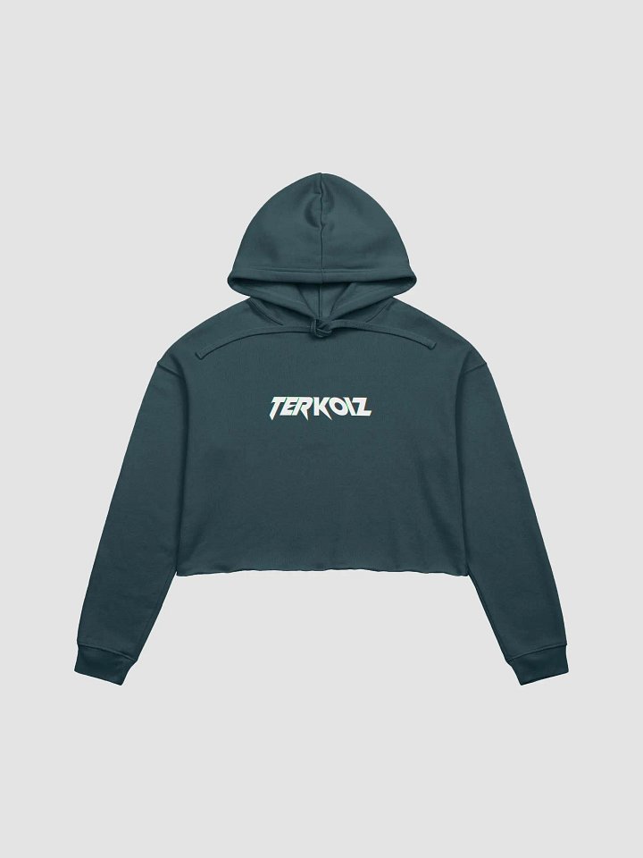 TERKOIZ LOGO CROPTOP HOODIE product image (1)