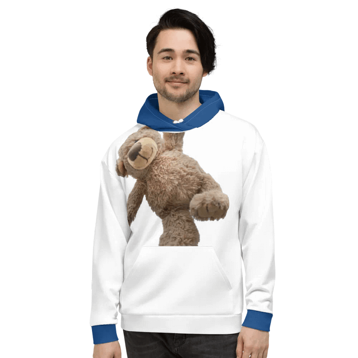 Bear hoodie product image (2)