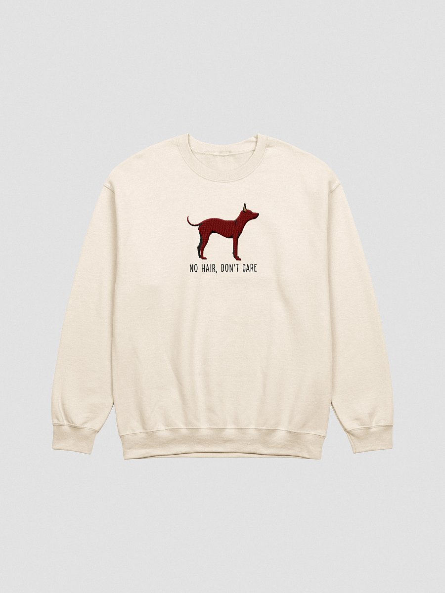 No Hair, Don't Care Sweatshirt (Embroidered) of an American Hairless Terrier(Chocolate) product image (13)