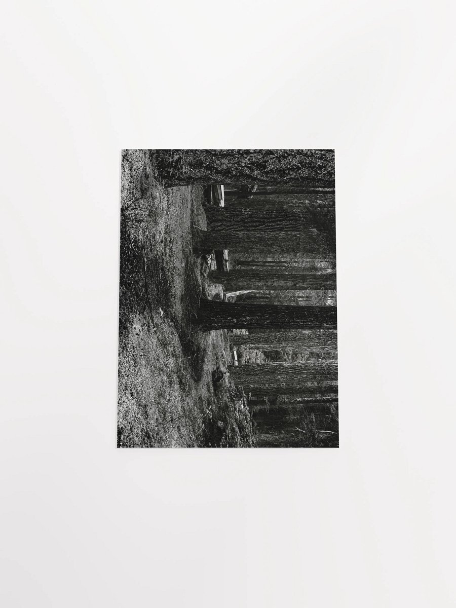 Hiking in the Buckhorn Wilderness Matte Poster product image (4)