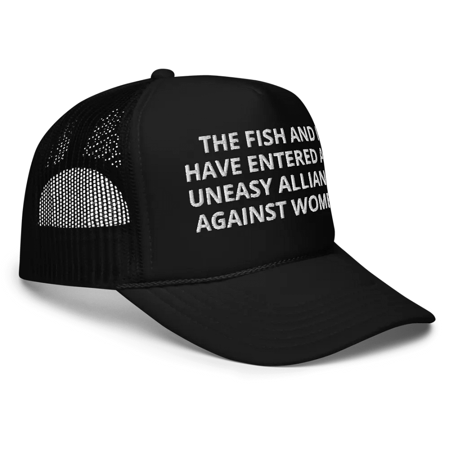 The Fish And I Have Entered An Uneasy Alliance - Embroidered Trucker Cap Hat product image (3)