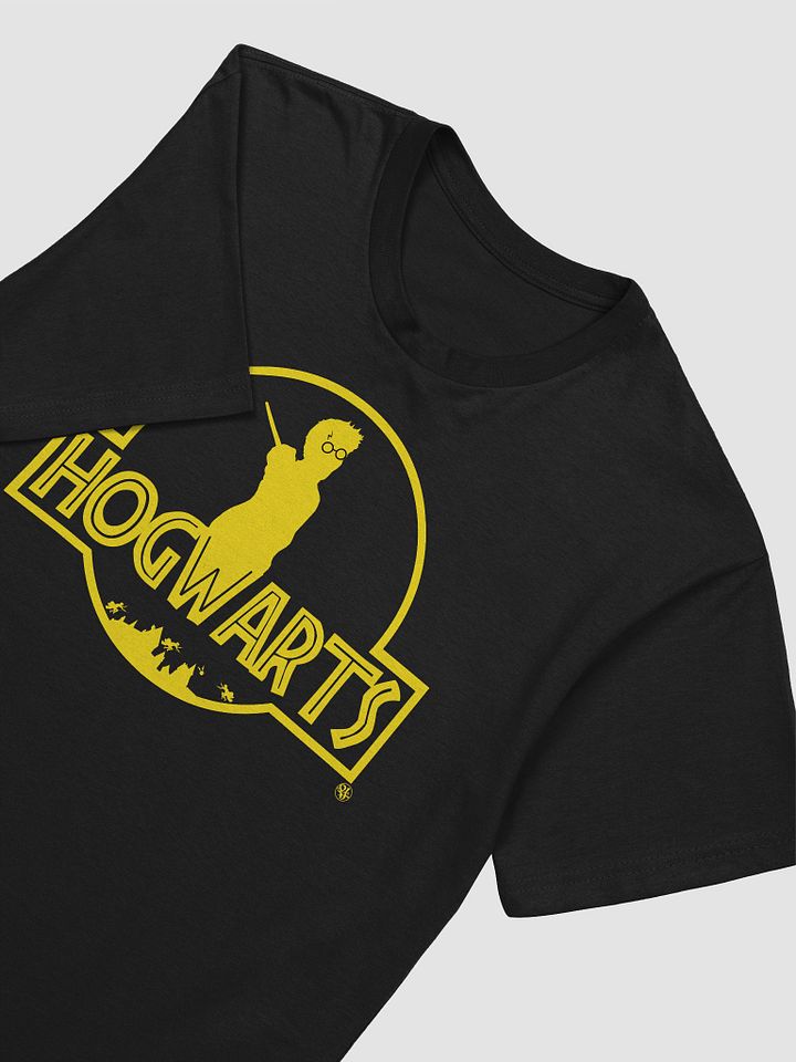 Hogwarts Park ( H ) Tee product image (2)
