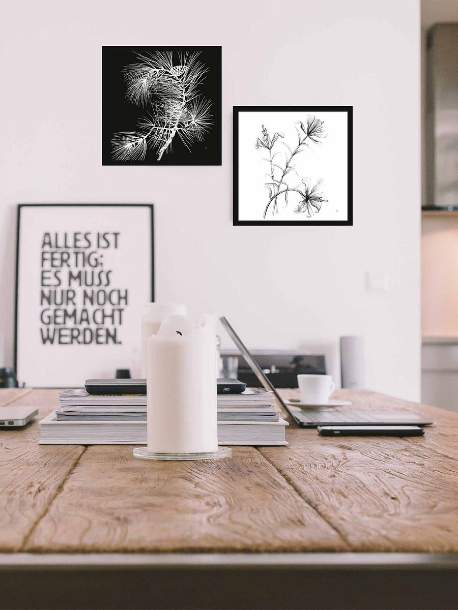 Blossom Canvas Collection - Wild Elegant Flowers product image (50)