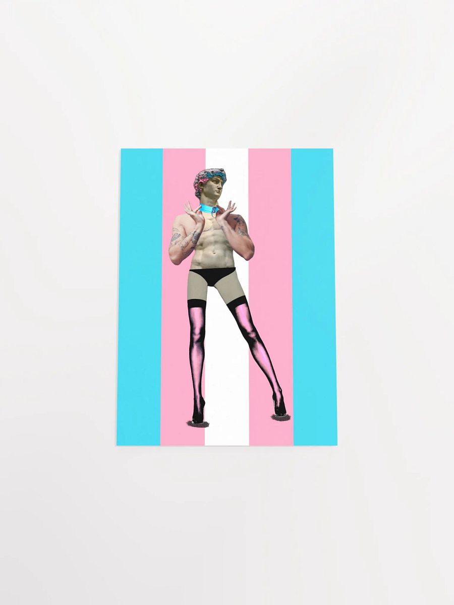 Trans Day of Visibility 4 Poster product image (4)