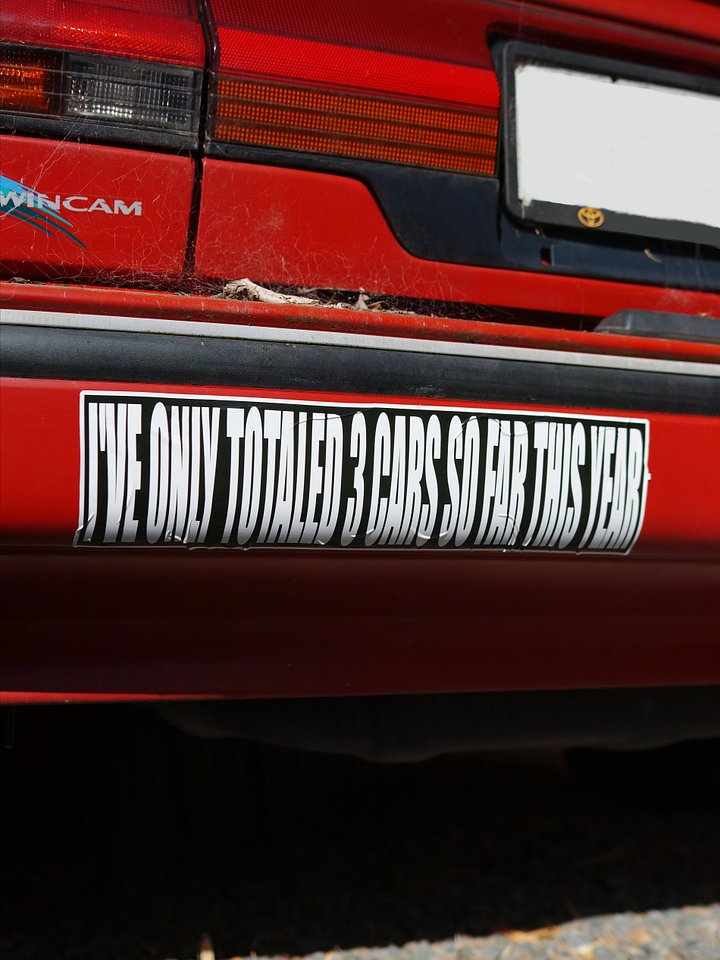 bumper sticker product image (1)