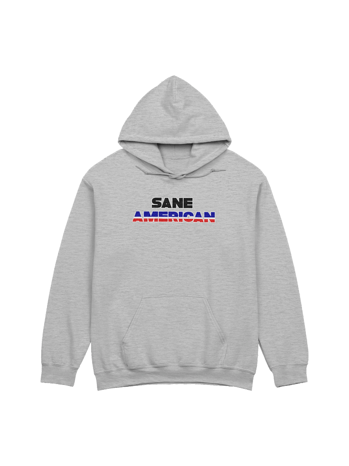 Sane American - Hoodie product image (2)