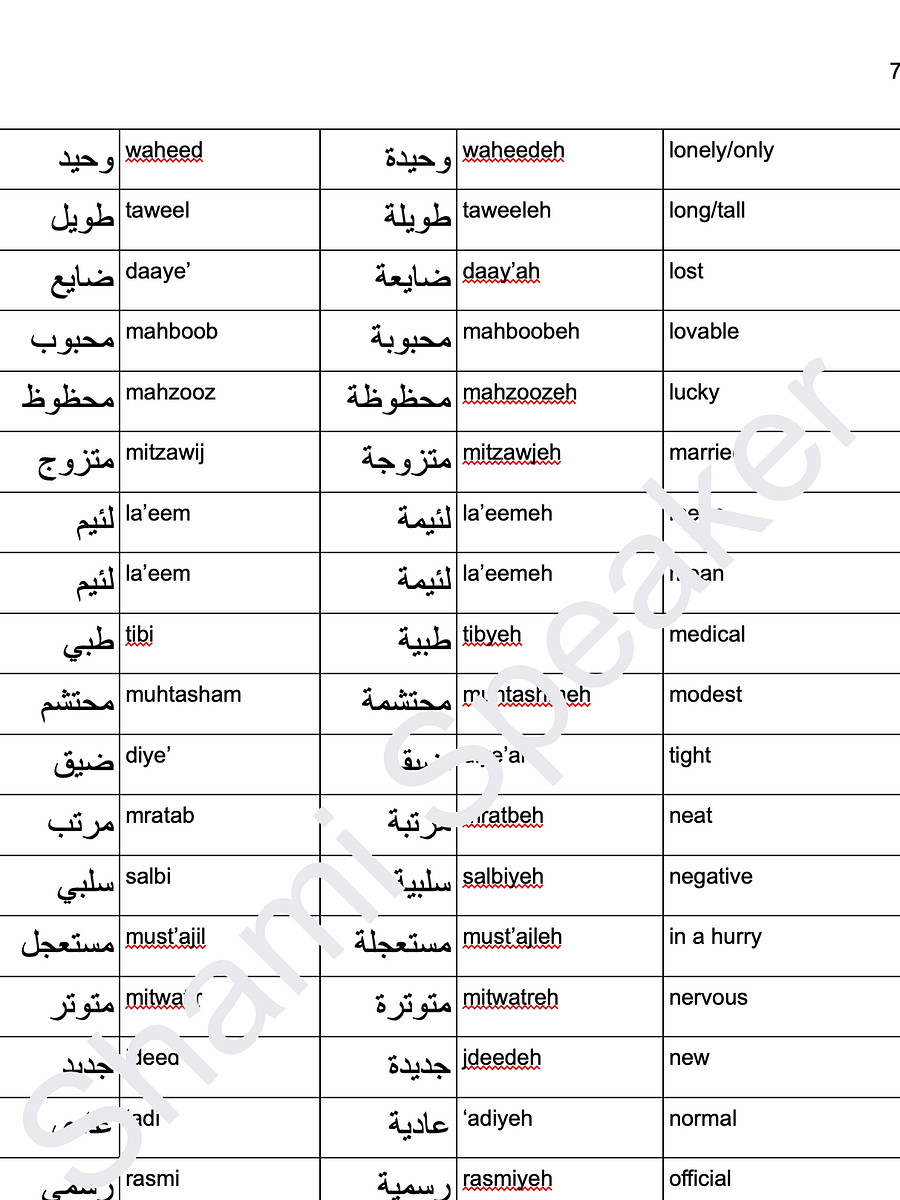 Adjectives in Levantine Arabic Ultimate Collection product image (3)