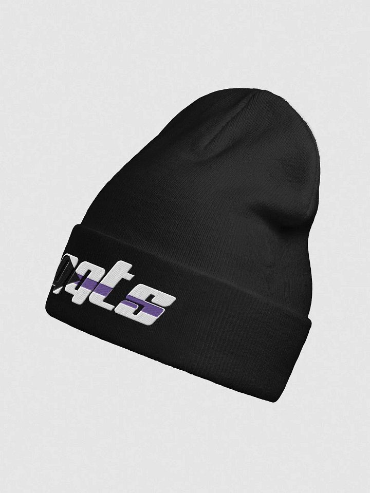 QQts Demisexual Logo Beanie product image (7)