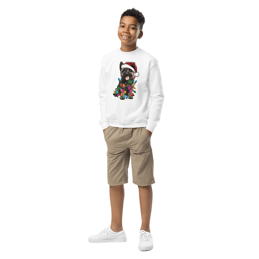 Funny Christmas Cairn Terrier(Brindle) Youth Sweatshirt product image (6)