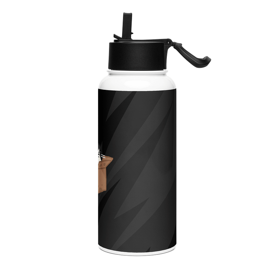 Special Delivery! Stainless Water Bottle product image (3)