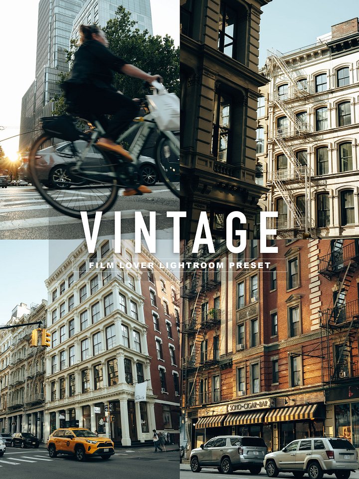 VINTAGE - FILM LOVER Lightroom Preset product image (1)