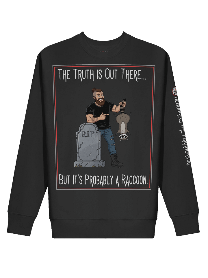 Probably a Raccoon Pullover Sweater product image (2)