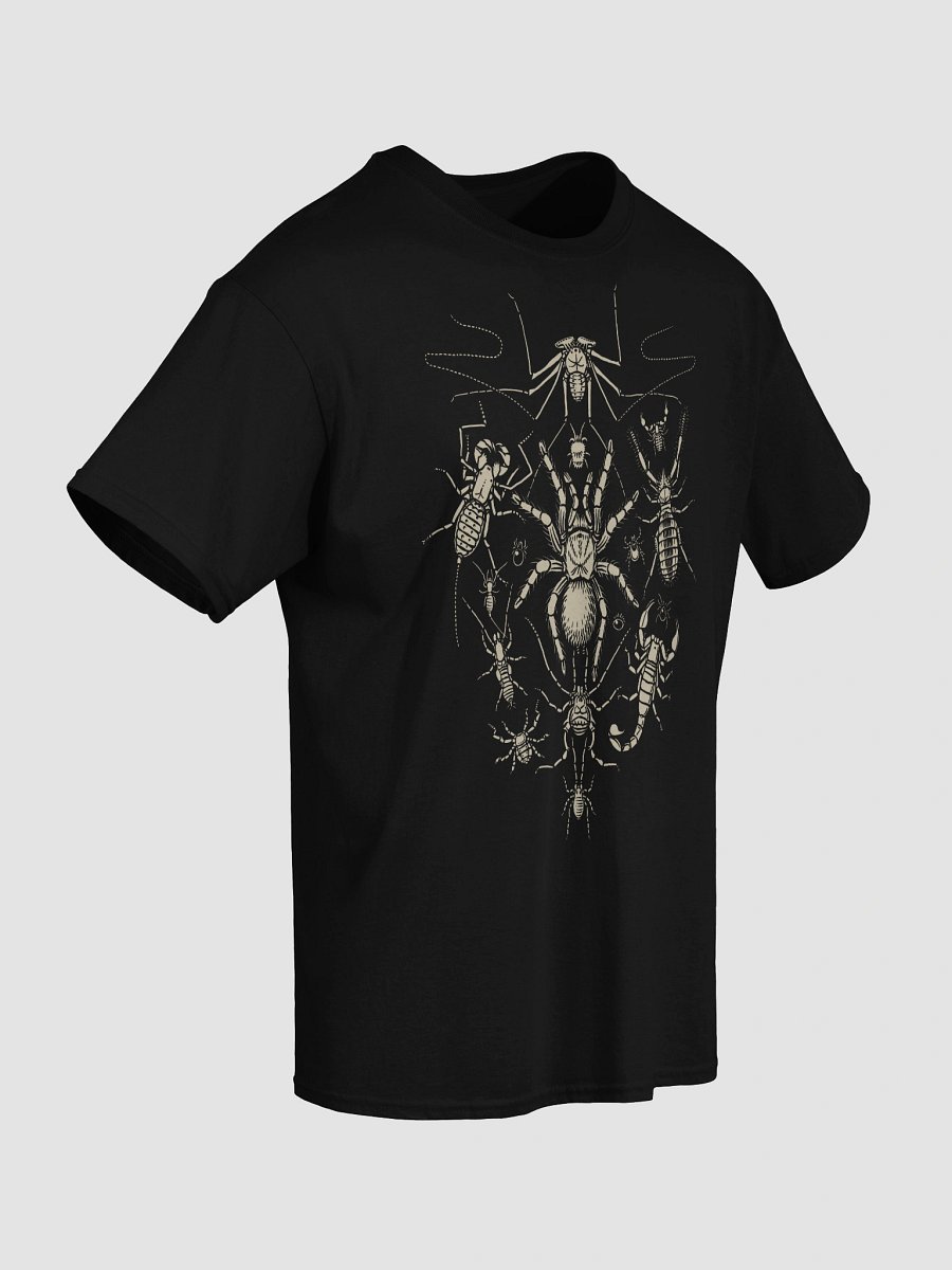 Arachnida Shirt product image (23)