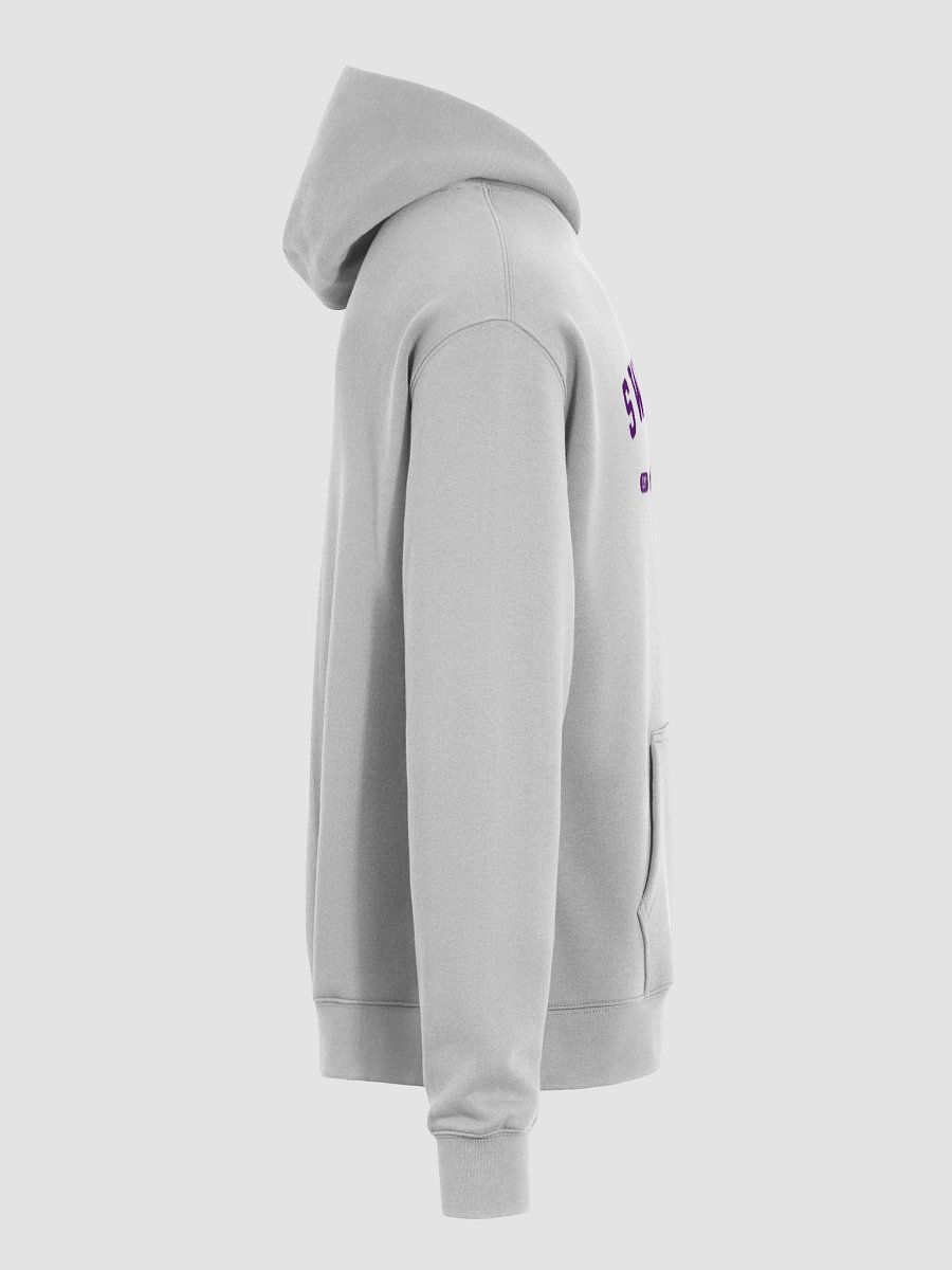 SWLAW Collegiate Bison- Hoodie product image (8)