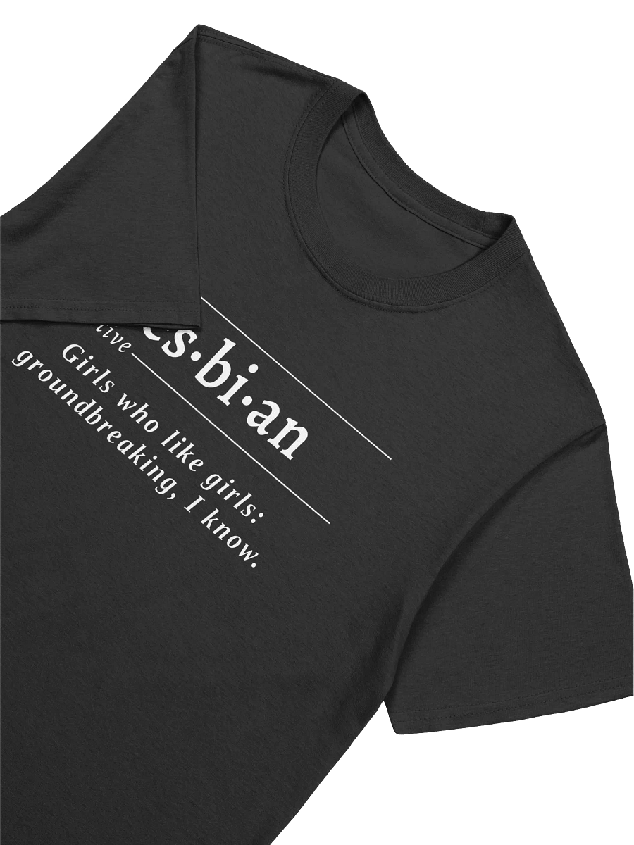 Lesbian Def Unisex Tee v1 product image (2)